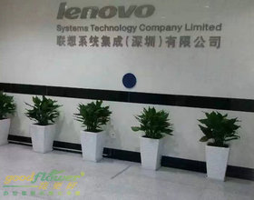 聯想植物租擺服務